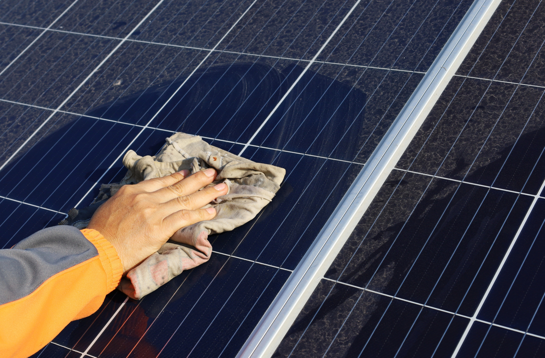 solar panel cleaning